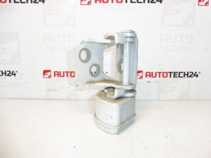 Parando a porta traseira esquerda EWP Peugeot 207 15189580 9037C1