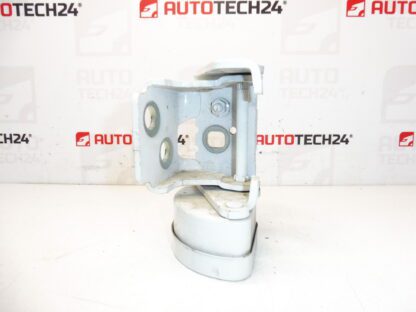 Parando a porta traseira esquerda EWPB Citroen C3 Picasso 9035Cl