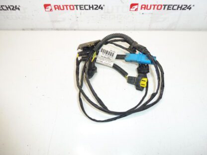 Pacote Citroen Peugeot 9653900780 6567LQ
